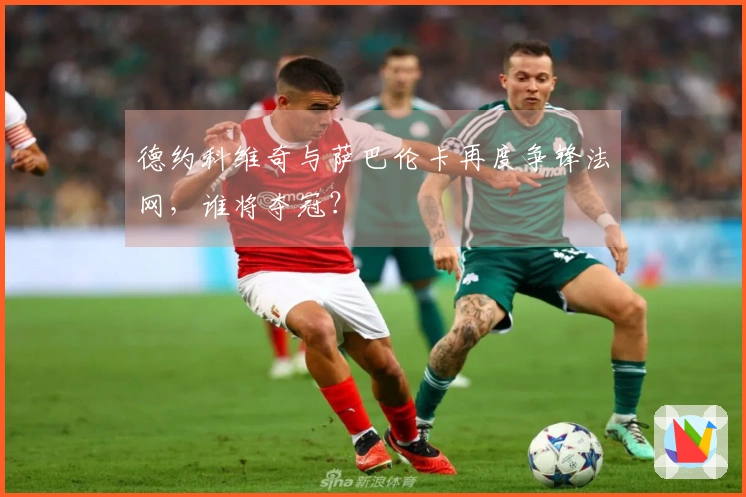 德约科维奇与萨巴伦卡再度争锋法网，谁将夺冠？